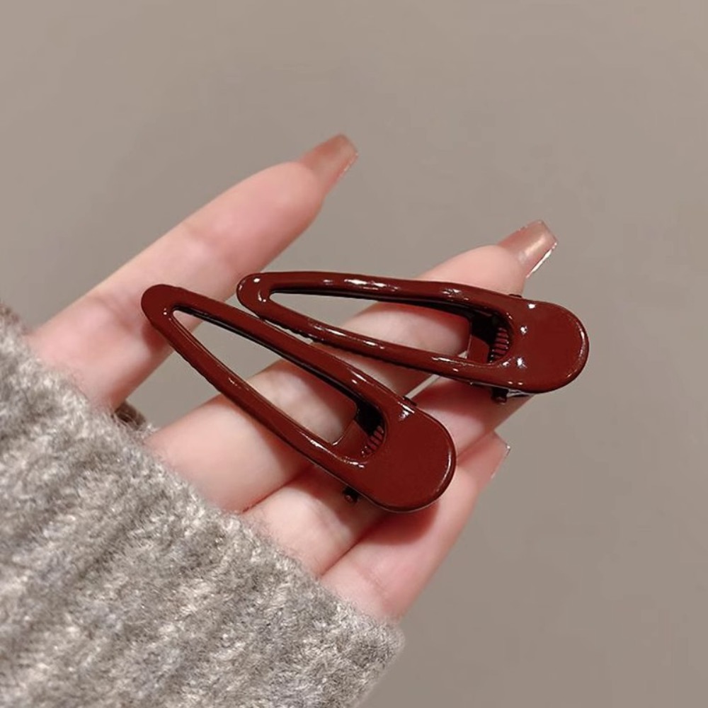 2 fermagli per capelli, fermag - Hair Clips recensione e prezzo